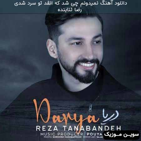 دانلود اهنگ نمیدونم چی شد که انقد تو سرد شدی رضا تنابنده